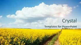  Presentation with field - Audience pleasing slides consisting of views of the endless canola backdrop and a sky blue colored foreground
