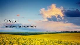  Presentation with chemical safety in work place - Audience pleasing slides consisting of views of the endless canola backdrop and a light blue colored foreground