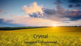  Presentation with filter - Audience pleasing slides consisting of views of the endless canola backdrop and a gold colored foreground