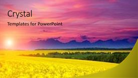  Presentation with artistic - Beautiful PPT theme featuring views of the endless canola backdrop and a coral colored foreground