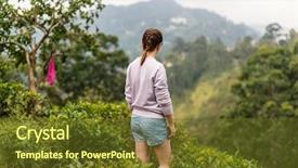  Presentation with black market of sri lanka - Amazing presentation having views over mountains and tea backdrop and a tawny brown colored foreground