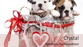  Presentation with english bulldog - PPT layouts having vigils - english bulldog puppy background and a coral colored foreground