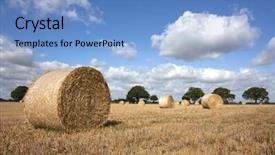  Presentation with summer time - Audience pleasing theme consisting of village life - hay bales in summer backdrop and a light blue colored foreground