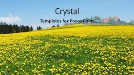  Presentation with purple rustic spring - Audience pleasing PPT theme consisting of village road - spring in emmental switzerland backdrop and a light blue colored foreground