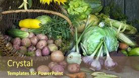  Presentation with harvest - 