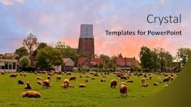  Presentation with amsterdam - Beautiful slides featuring village-zunderdorp-near-amsterdam backdrop and a light blue colored foreground