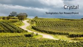  Presentation with route - Presentation design featuring vin - famous wine route in alsace background and a light blue colored foreground