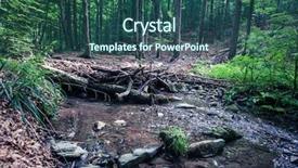  Presentation with rainforest - Audience pleasing presentation consisting of vinatovaca in serbia east europe backdrop and a ocean colored foreground