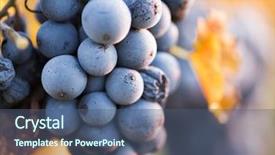  Presentation with vine wine - PPT theme having vine branch in morning background and a ocean colored foreground