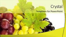  Presentation with grape vine - Beautiful presentation theme featuring vine colors grape border backdrop and a yellow colored foreground