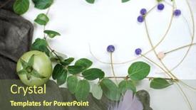  Presentation with vine - Slide set enhanced with vine-frame-with-feathers-berries background and a tawny brown colored foreground