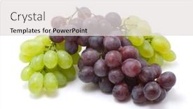  Presentation with vine - Colorful presentation theme enhanced with vine grapes on white isolated backdrop and a light gray colored foreground