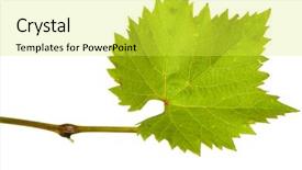  Presentation with leave - Audience pleasing PPT theme consisting of notepad with stationary objects on a white background backdrop and a white colored foreground