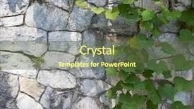  Presentation with vine - Cool new theme with vine leaves with tendril backdrop and a tawny brown colored foreground