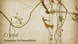  Presentation with vine - Cool new presentation with vine-on-old-paper-background backdrop and a soft green colored foreground