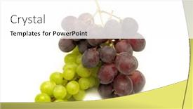  Presentation with vine - 