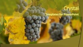  Presentation with fall morning - PPT theme featuring vine one early fall background and a tawny brown colored foreground