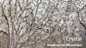  Presentation with cracked concrete vintage wall - Slide deck having vines branches climbing on concrete background and a gray colored foreground