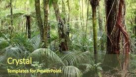  Presentation with vine - Beautiful presentation theme featuring vines grow up large tree backdrop and a  colored foreground