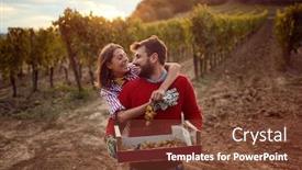  Presentation with young happy couple - PPT theme consisting of vines in a vineyard in autumn harvesting grapes happy young couple harvesting grapes background and a tawny brown colored foreground