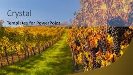  Presentation with calvary - Slides enhanced with vineyard-and-calvary-near-hnanice background and a  colored foreground