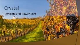  Presentation with calvary - PPT theme having vineyard-and-calvary-near-hnanice background and a light blue colored foreground