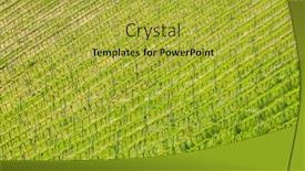  Presentation with vineyard - Cool new PPT theme with vineyard-at-the-austrian-slovenian backdrop and a yellow colored foreground