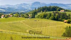  Presentation with vineyard - Slides having vineyard-at-the-austrian-slovenian background and a gold colored foreground