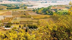  Presentation with harvest - Presentation theme consisting of vineyard-at-the-time background and a gold colored foreground