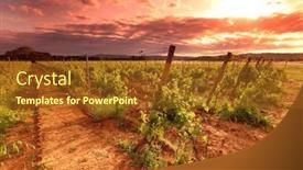  Presentation with rural - Presentation featuring vineyard-in-france-on-sunrise background and a tawny brown colored foreground