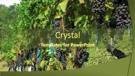  Presentation with vineyard - Presentation theme featuring vineyard-in-lombardy-italy-row background and a tawny brown colored foreground