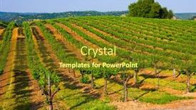  Presentation with california - Audience pleasing presentation theme consisting of vineyard-in-northern-california backdrop and a tawny brown colored foreground