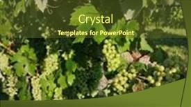  Presentation with croatia - Amazing theme having vineyard-in-pozega-slavonia-croatia backdrop and a tawny brown colored foreground