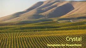  Presentation with vineyard - Presentation theme having vineyard in santa maria california background and a tawny brown colored foreground