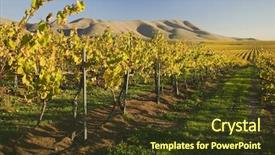  Presentation with california - Beautiful presentation featuring young confident businessman wearing red cape against modern city background backdrop and a light gray colored foreground