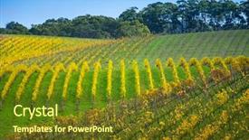  Presentation with australia engineer - Cool new presentation theme with vineyard in the adelaide hills backdrop and a tawny brown colored foreground