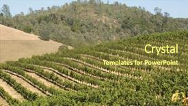  Presentation with rolling hills - Presentation design with vineyard in the rolling hills background and a tawny brown colored foreground