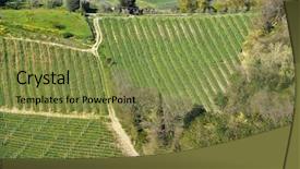  Presentation with italy united states - Amazing theme having vineyard in tuscany in spring backdrop and a tawny brown colored foreground