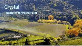  Presentation with tuscany - Presentation theme having vineyard in tuscany in spring background and a ocean colored foreground