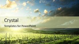  Presentation with tuscany - Colorful presentation theme enhanced with vineyard in tuscany italy backdrop and a soft green colored foreground