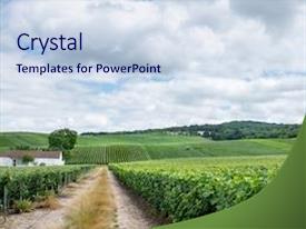 Vineyard Landscape Montagne De Reims PPT template 83 | CrystalGraphics