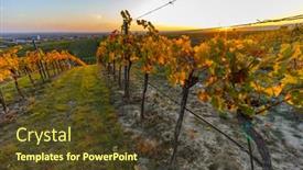  Presentation with vineyard - Theme featuring vineyard-near-unterretzbach background and a tawny brown colored foreground