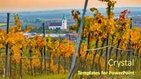  Presentation with vineyard - Amazing PPT theme having vineyard-near-unterretzbach backdrop and a tawny brown colored foreground