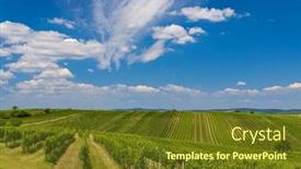  Presentation with vineyard - Slide deck having vineyard-near-velke-bilovice-southern background and a tawny brown colored foreground