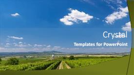  Presentation with vineyard - Presentation design featuring vineyard-near-velke-bilovice-southern background and a  colored foreground