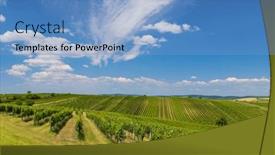 Presentation with vineyard - Presentation theme enhanced with vineyard-near-velke-bilovice-southern background and a  colored foreground
