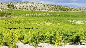  Presentation with vineyard - Slides enhanced with vineyard-near-villabanez-valladolid-province background and a yellow colored foreground