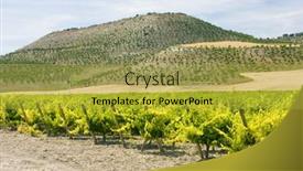  Presentation with vineyard - Theme having vineyard-near-villabanez-valladolid-province background and a yellow colored foreground