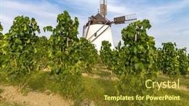  Presentation with kidneys pain or lower back - Presentation design consisting of vineyard-near-windmill-retz-lower background and a tawny brown colored foreground
