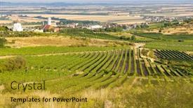  Presentation with anatomy lower limb - Presentation design having vineyard-near-windmill-retz-lower background and a gold colored foreground